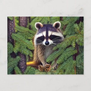 Carte Postale Little Woodland Wilderness Raccoon