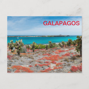 Carte Postale Littoral aux Galapagos