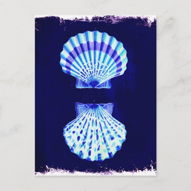 Carte Postale littoral chic plage rustique nautique marine coqui (Devant)