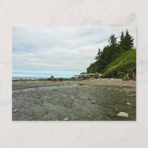 Carte Postale Littoral de Californie du Nord depuis Redwood Park