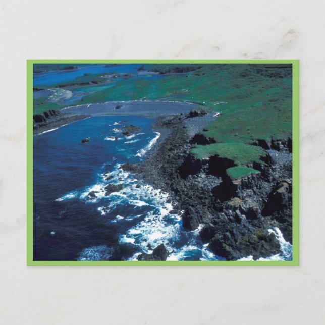 Carte Postale Littoral de Naugolka Point, Kodiak (Devant)
