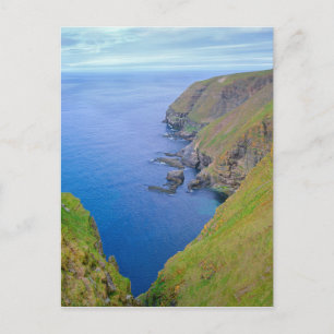 Carte Postale Littoral de Terre-Neuve