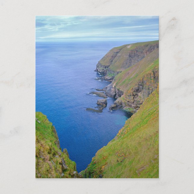 Carte Postale Littoral de Terre-Neuve (Devant)