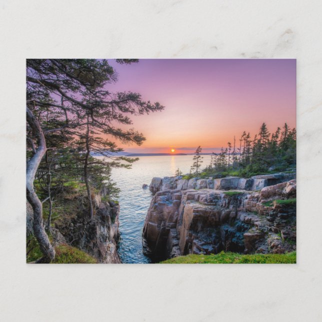 Carte Postale Littoral | Nid de corbeau Parc national d'Acadia M (Devant)