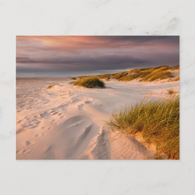Carte Postale Littoral | Saltum Beach, Danemark (Devant)