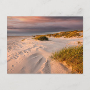 Carte Postale Littoral   Saltum Beach, Danemark