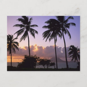 Carte Postale Littoral St. Kitts