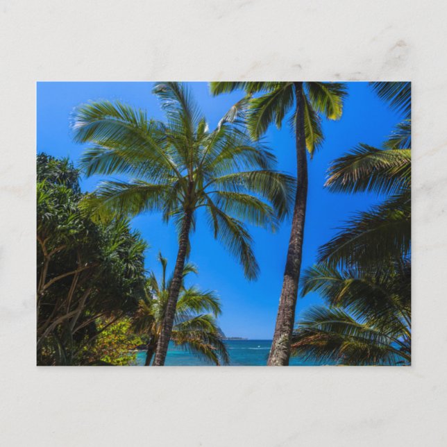 Carte Postale Littoral tropical 2 (Devant)