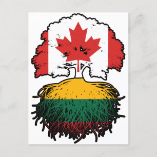 Carte Postale Lituanie Lituanie Canada - Racines d'arbres du Can