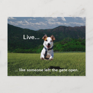 Carte Postale "Live Like One Left Gate Open"