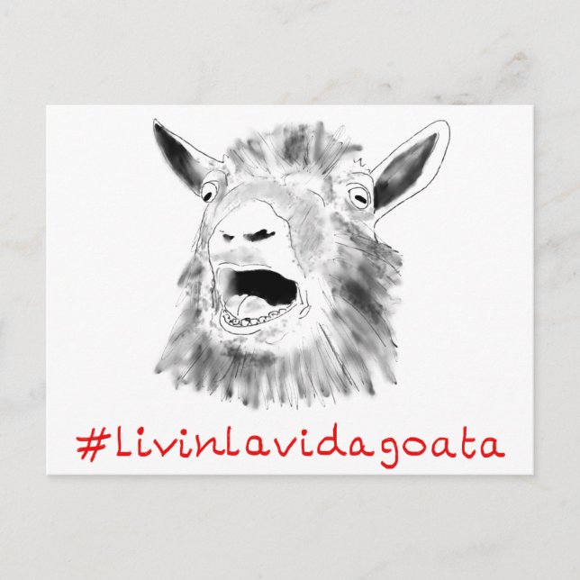 Carte Postale Livin La Vida Goata Drôle hurler Dessin de chèvre (Devant)