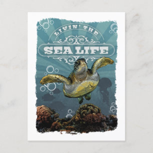 Carte postale Livin' Sea Life Turtle
