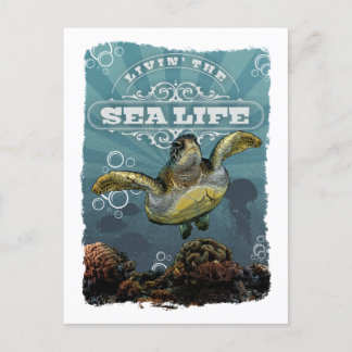 Carte postale Livin' Sea Life Turtle