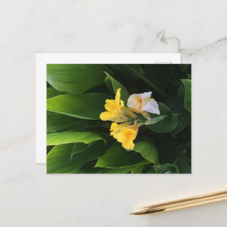 Carte Postale Livraison de fleurs