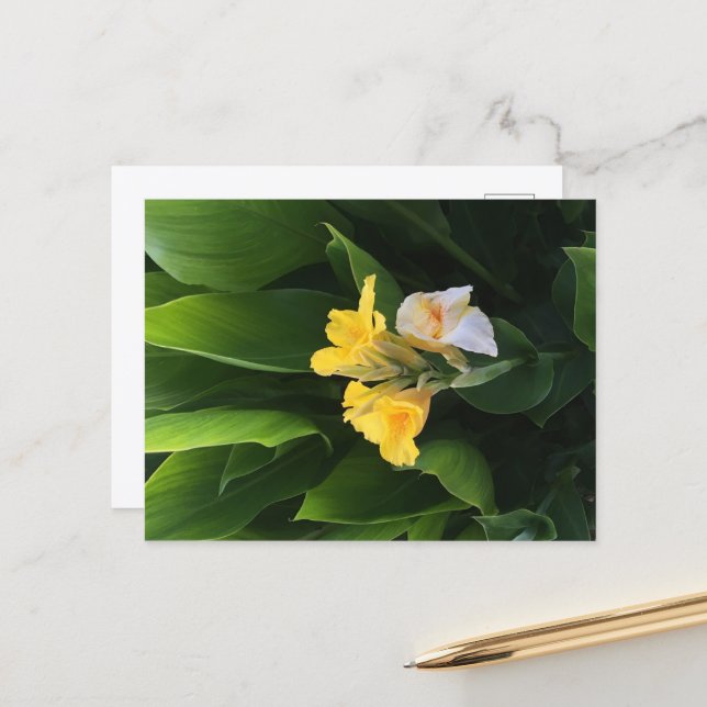 Carte Postale Livraison de fleurs (Devant/Arrière en situation)