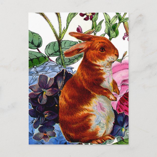 Carte Postale Livre d'histoire vintage Bunny (Devant)