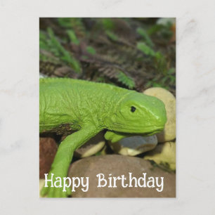 Carte Postale Lizard dans le jardin Joyeux anniversaire