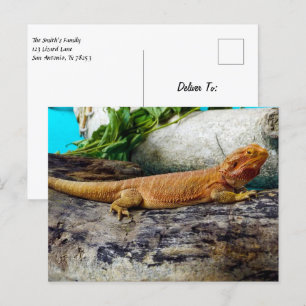 Carte Postale Lizard de dragon à tête adulte