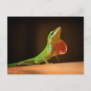 Carte Postale Lizard d'oignon vert avec Thraot rouge