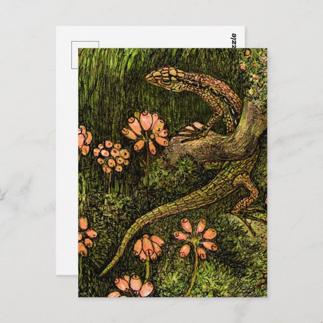 Carte Postale Lizard et Fleur sauvage de style Art nouveau néerl (Devant / Derrière)