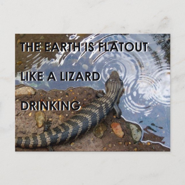 Carte postale Lizard plat - Mème Terre plate (Devant)