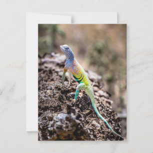 Carte Postale Lizard plus grand