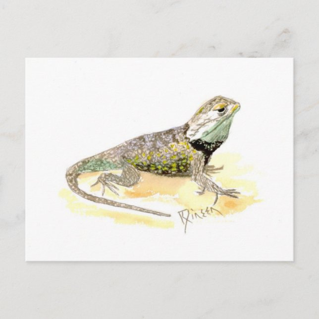 Carte postale Lizard Spiny Desert (Devant)