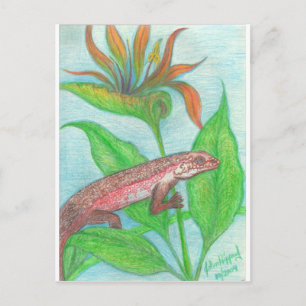 Carte Postale Lizzzard