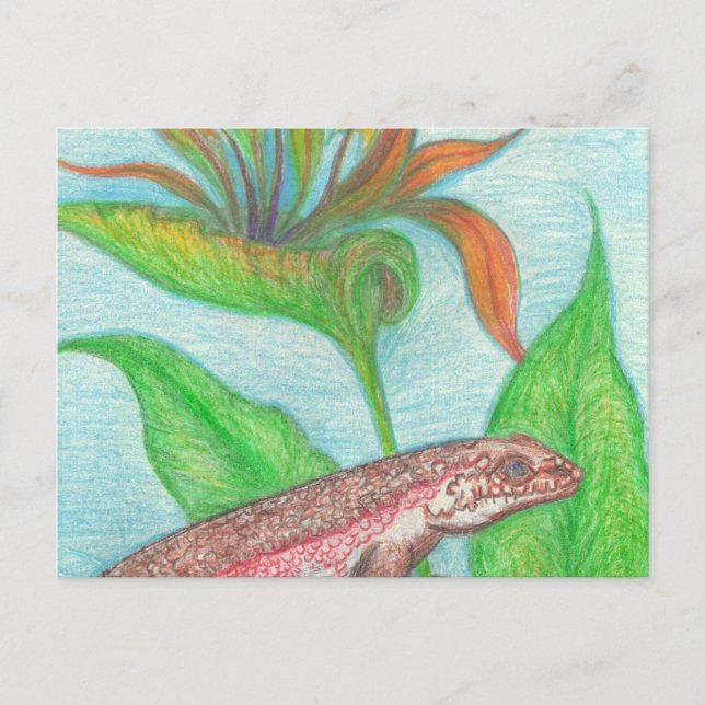 Carte postale Lizzzard (Devant)