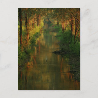 Carte Postale Ljubljana Moors