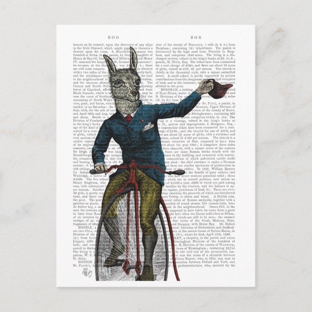 Carte Postale Llama à vélo (Devant)