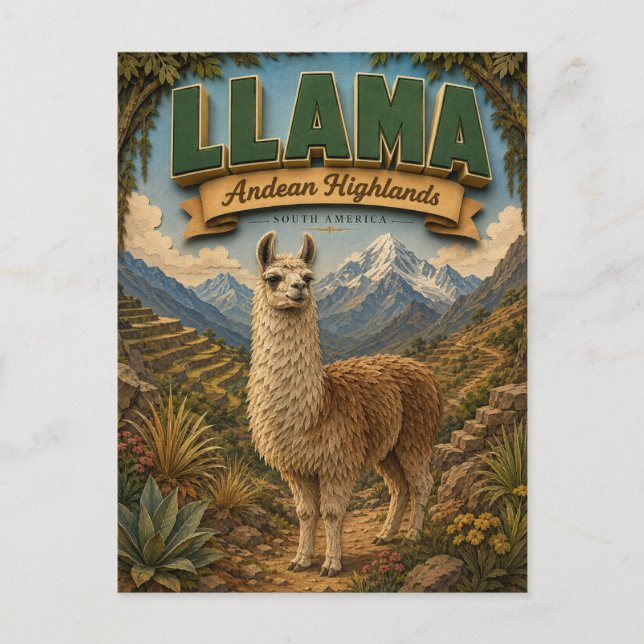 Carte Postale Llama Alpaca Hauts Plateaux Andéens POPCUT (Devant)