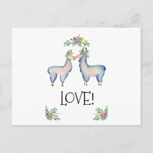Carte Postale Llama est amoureuse (Devant)