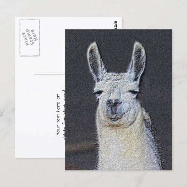 Carte Postale Llama Face Animal Art Personalized (Devant / Derrière)