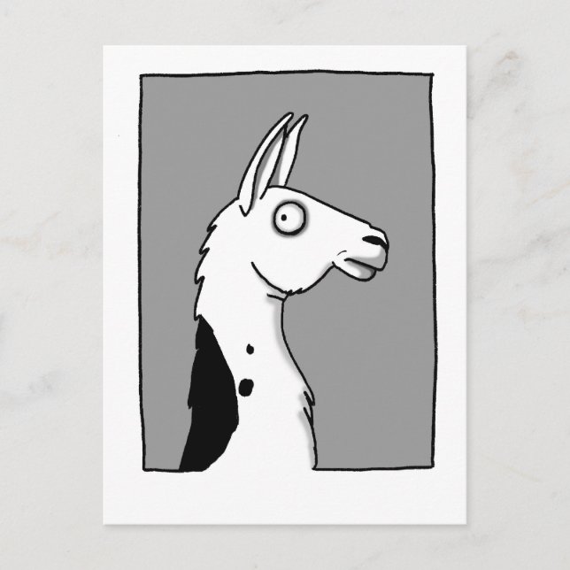 Carte Postale Llama Llama (Devant)