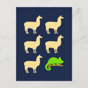 Carte Postale Llama Llama Llama Llama Chameleon