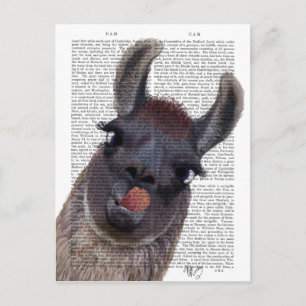 Carte Postale Llama Silly