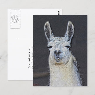 Carte Postale Llama Visage Animal Art Personnalisé