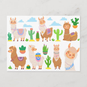 Carte Postale Llamas