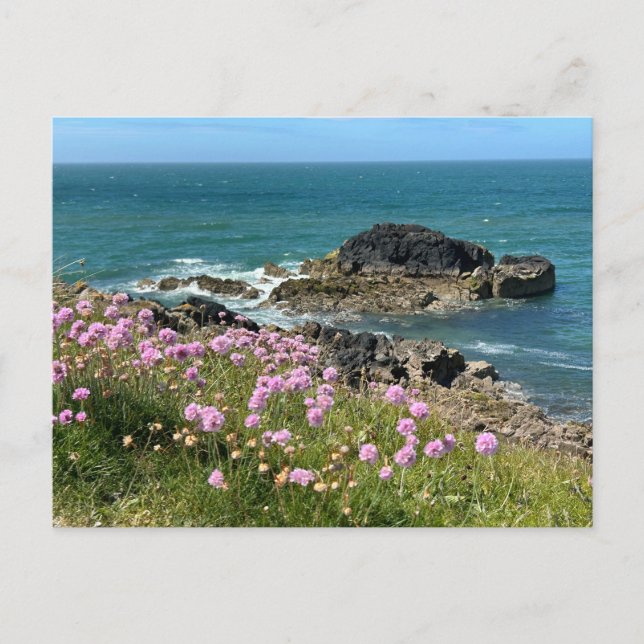 Carte Postale Llanddwyn Anglesey  (Devant)