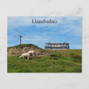 Carte Postale Llandudno - Grande Orme