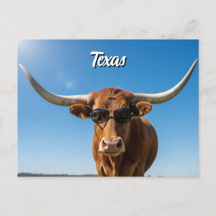 Carte Postale Llonghorn du Texas en lunettes de soleil