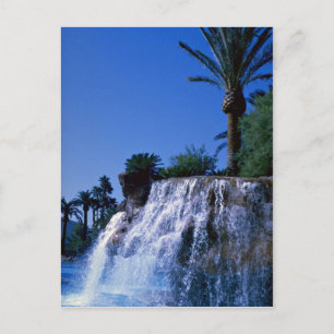 Carte Postale L'oasis du désert