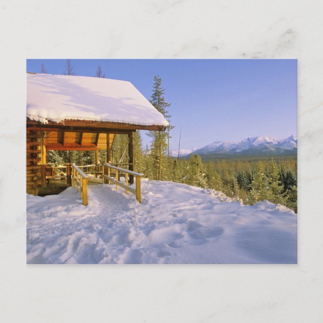 Carte Postale location de la cabane USFS Schnauss en hiver surpl (Devant)