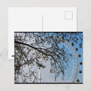 Carte Postale L'Œil à travers les feuilles d'automne