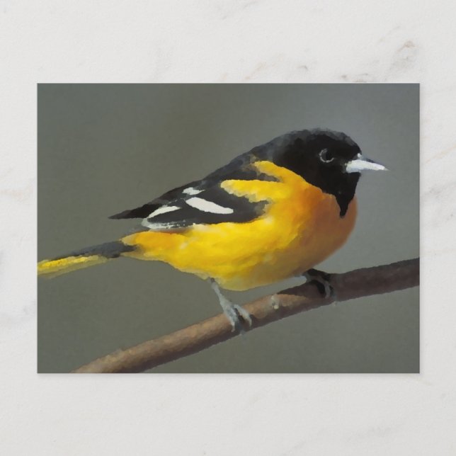 Carte Postale Logo Baltimore Oriole (palette) (Devant)