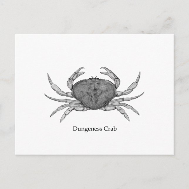 Carte Postale Logo de crabe de Dungeness (art en ligne) (Devant)
