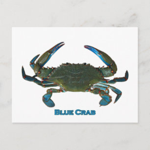 Carte Postale Logo du crabe bleu de l'Atlantique