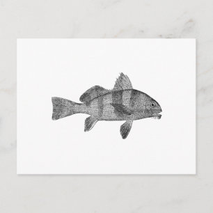 Carte Postale Logo pour tambour à chiot (art en ligne)