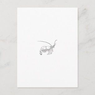 Carte Postale Logo Prawn